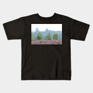 Heathland, morning mist, heather bloom, Niederhaverbeck Kids T-Shirt